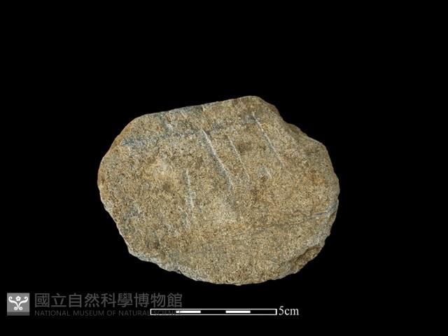 石片器藏品圖，第1張