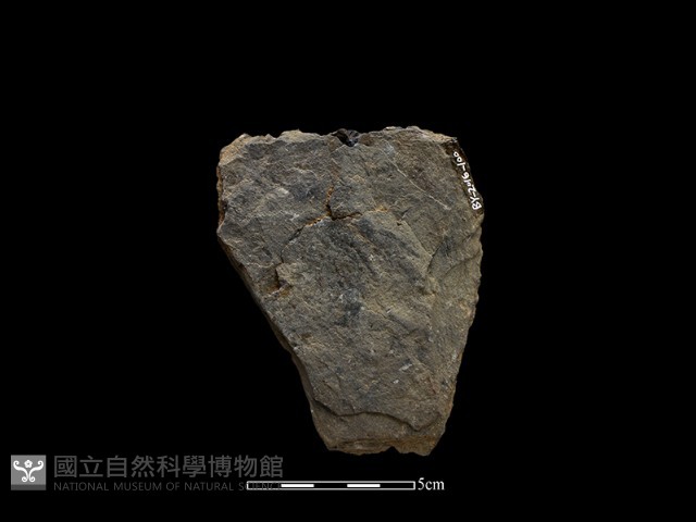 斧鋤形器藏品圖，第1張