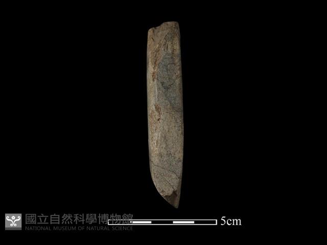 錛鑿形器藏品圖，第1張