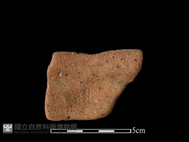 陶罐藏品圖，第1張
