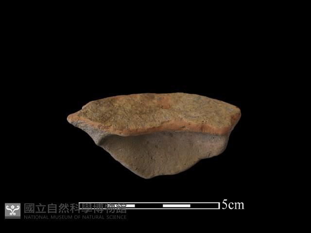 陶片藏品圖，第1張