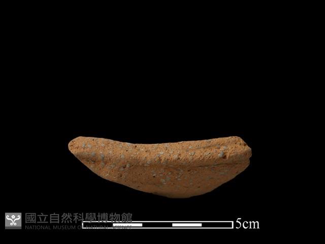 陶缽藏品圖，第2張