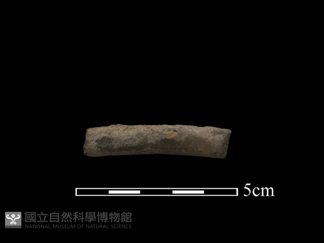 陶環藏品圖，第1張