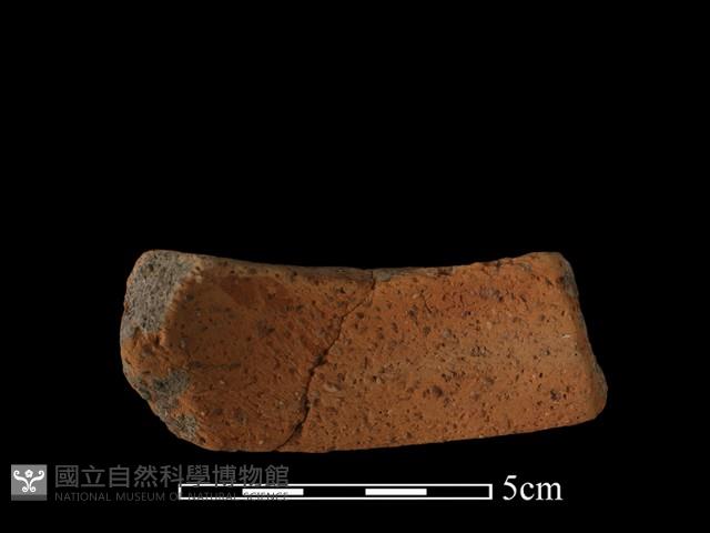 陶片藏品圖，第2張