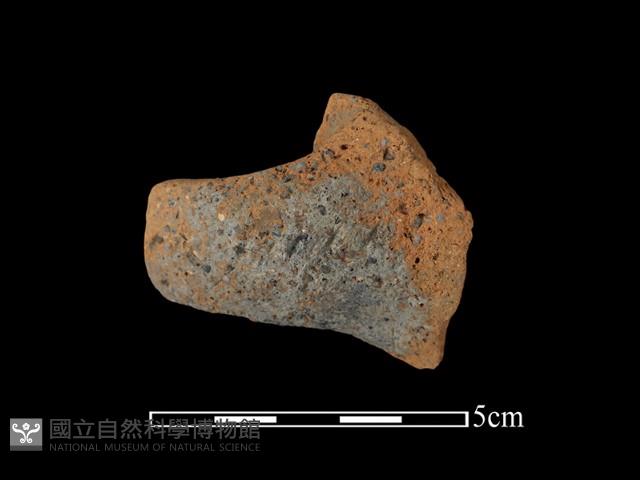 陶把藏品圖，第2張