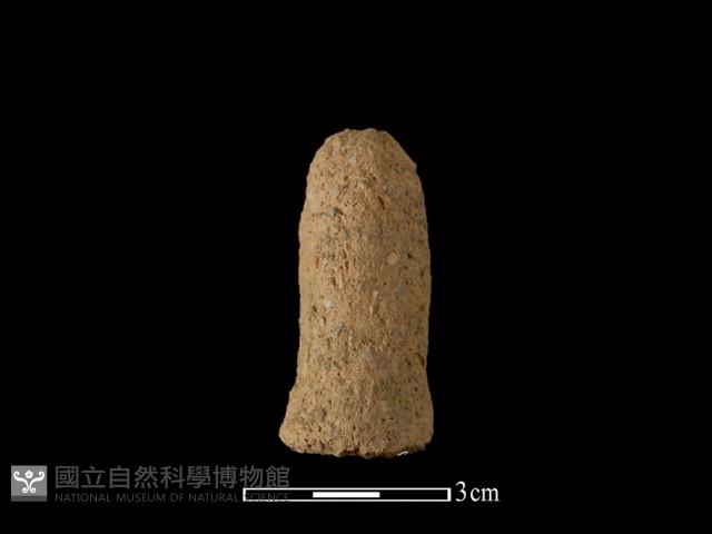 陶蓋鈕藏品圖，第2張