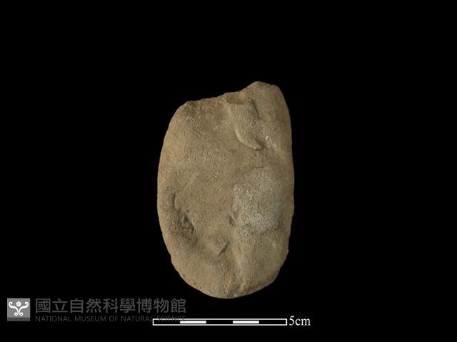 斧鋤形器藏品圖，第2張