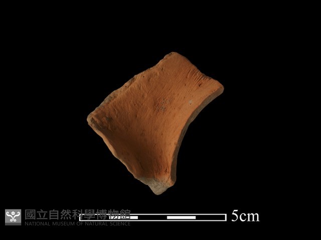 連杯形器藏品圖，第1張
