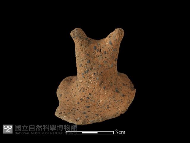 陶蓋鈕藏品圖，第1張