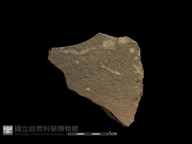 斧鋤形器藏品圖，第1張