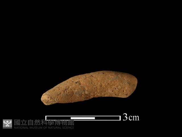 陶把藏品圖，第1張