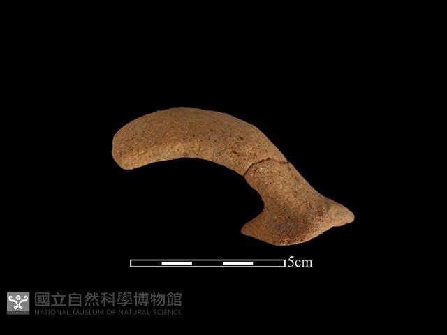 陶把藏品圖，第1張