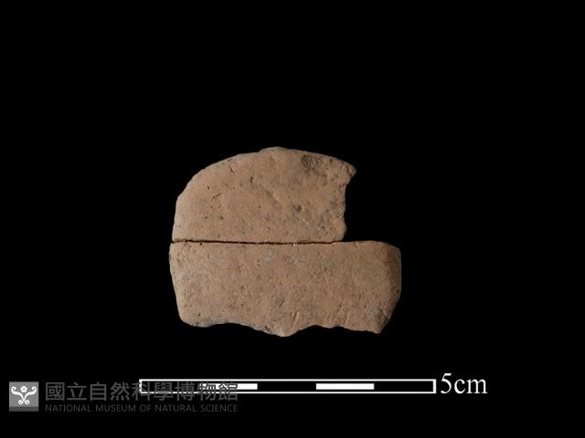 陶片藏品圖，第1張