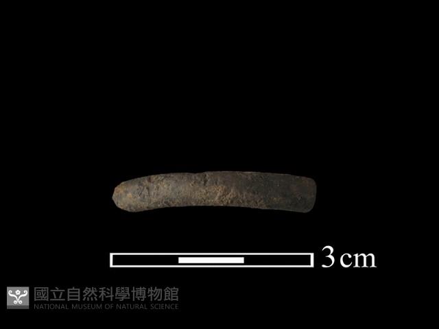 陶環藏品圖，第1張