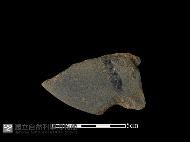 磨製石器藏品圖，第2張