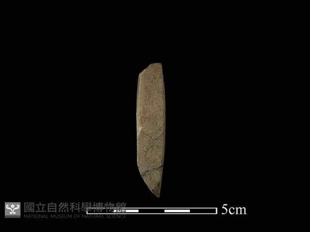 錛鑿形器藏品圖，第3張