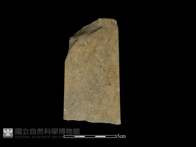 磨製有刃石器藏品圖，第1張