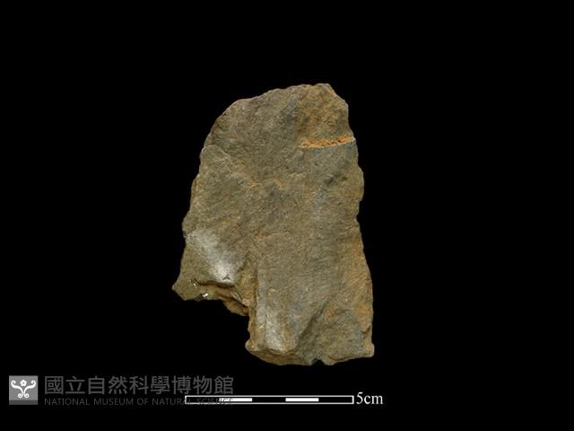 Accession Number:BY-2016-138 Collection Image, Figure 2, Total 2 Figures