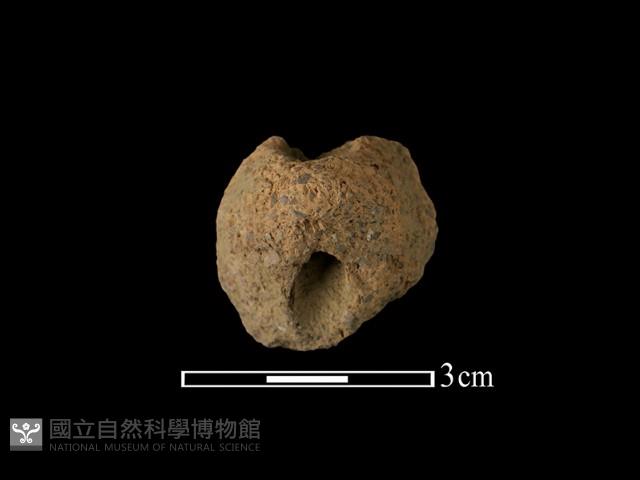 陶把藏品圖，第1張