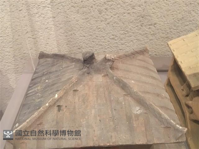 陶閣樓-屋頂藏品圖，第1張