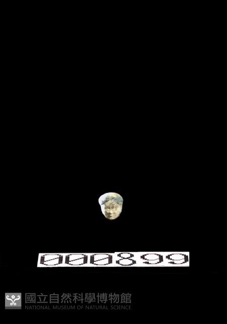 立俑藏品圖，第1張