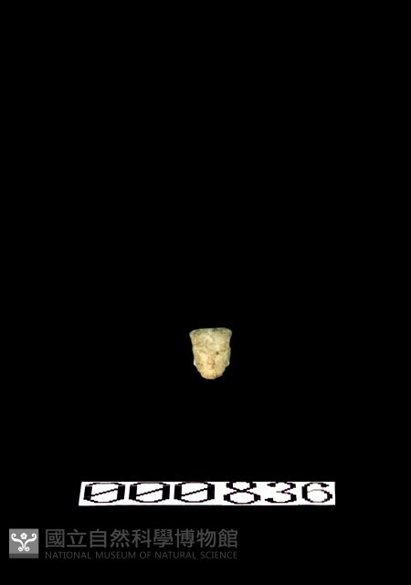 灰陶加彩女立俑藏品圖，第1張