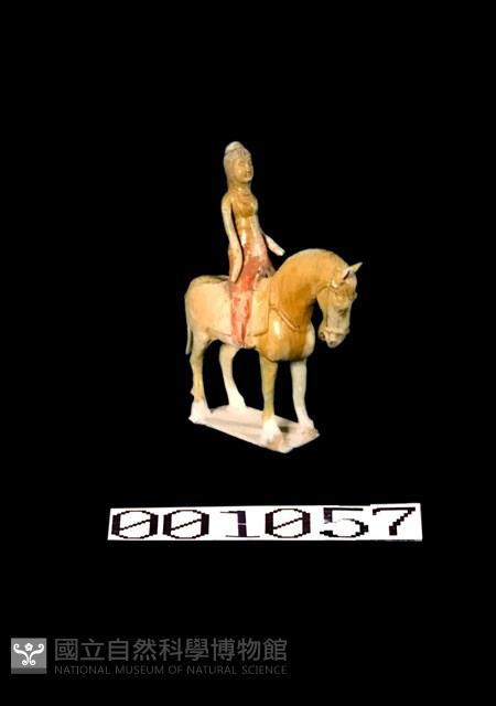 黃釉加彩人騎馬女士藏品圖，第1張