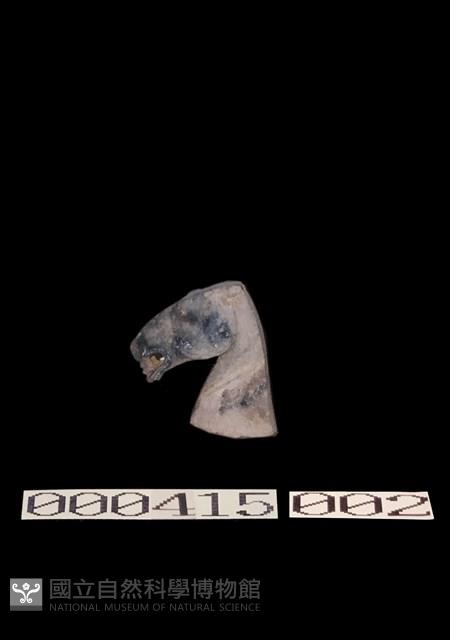 陶馬-馬頭藏品圖，第1張