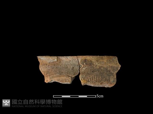 陶罐藏品圖，第1張