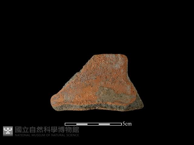 Accession Number:AHR236.1-2020-016 Collection Image, Figure 1, Total 2 Figures