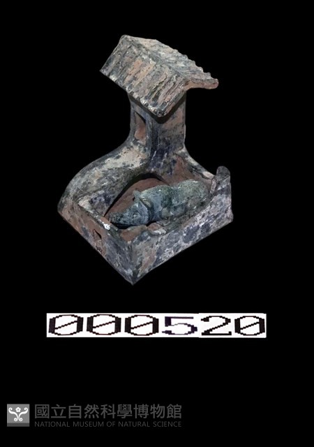 綠釉豬舍藏品圖，第1張