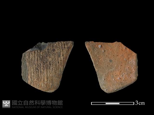 陶片藏品圖，第1張