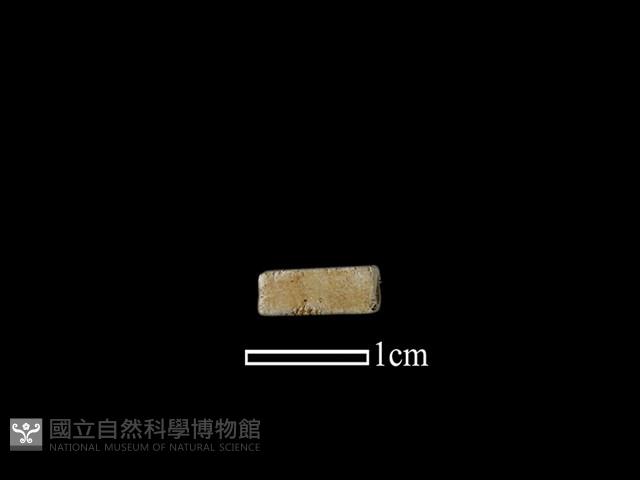 管珠藏品圖，第1張