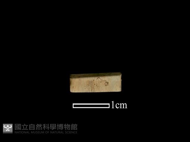 管珠藏品圖，第1張