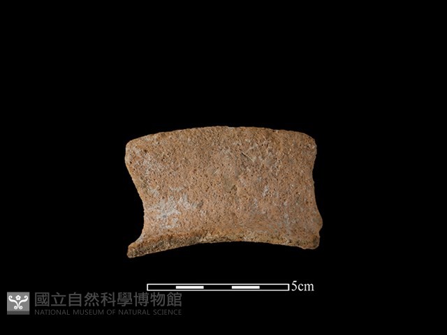 陶罐藏品圖，第1張