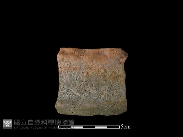 陶罐藏品圖，第1張