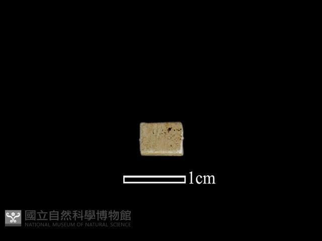 管珠藏品圖，第1張