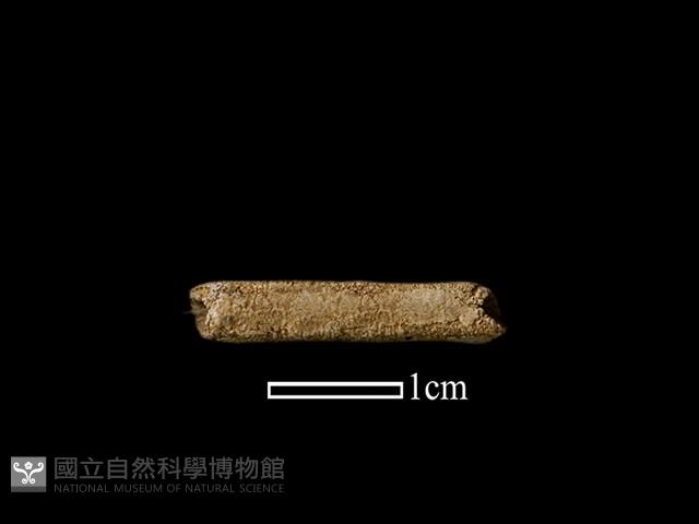 管珠藏品圖，第1張