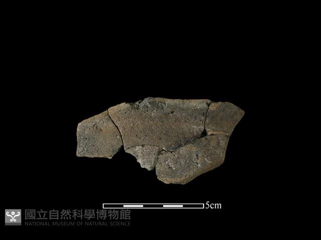 陶罐藏品圖，第1張