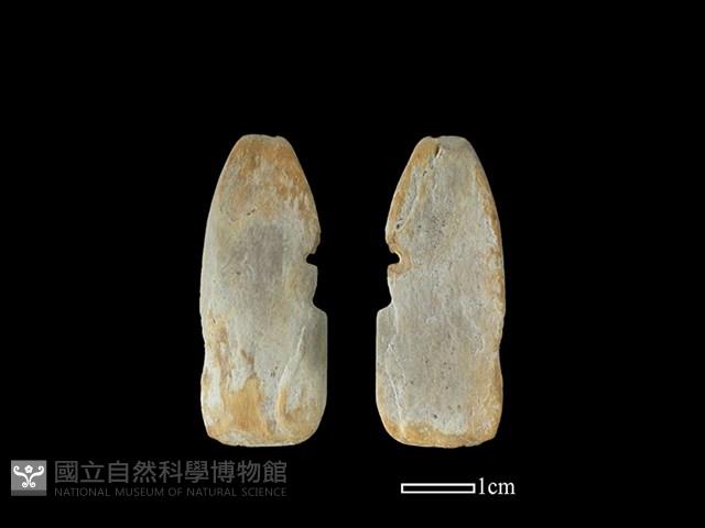 Accession Number:AHR236.1-2020-001 Collection Image