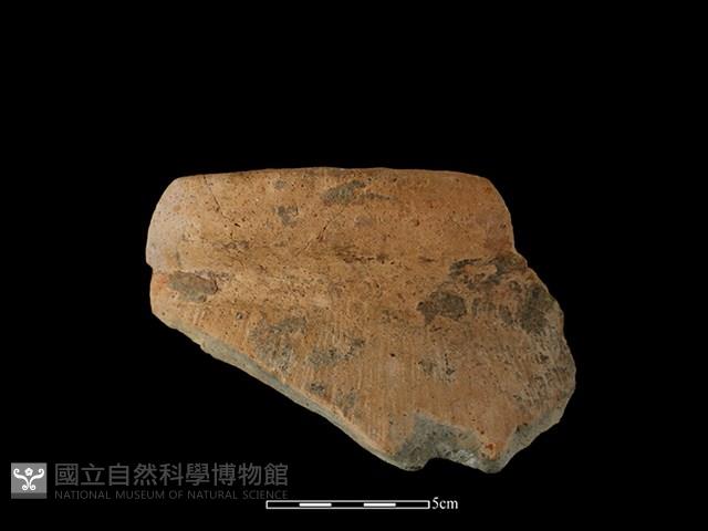 陶罐藏品圖，第1張