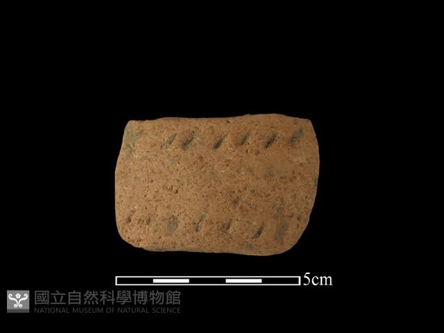 陶把藏品圖，第1張