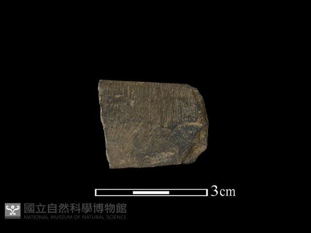 Accession Number:BY-2016-063 Collection Image, Figure 1, Total 2 Figures