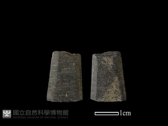 矛鏃形器藏品圖，第1張