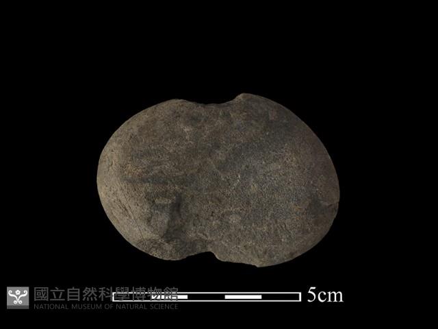 網墜藏品圖，第2張
