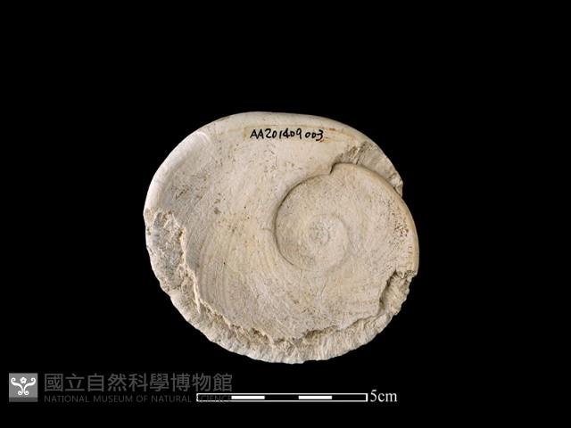 Accession Number:AA201409003 Collection Image, Figure 2, Total 2 Figures