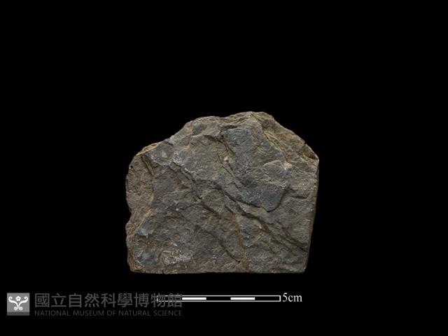 斧鋤形器藏品圖，第1張