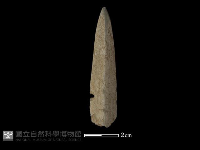 矛鏃形器藏品圖，第2張