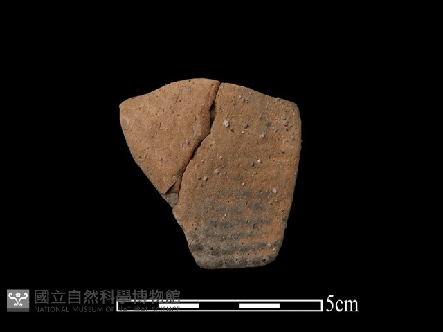 陶片藏品圖，第2張