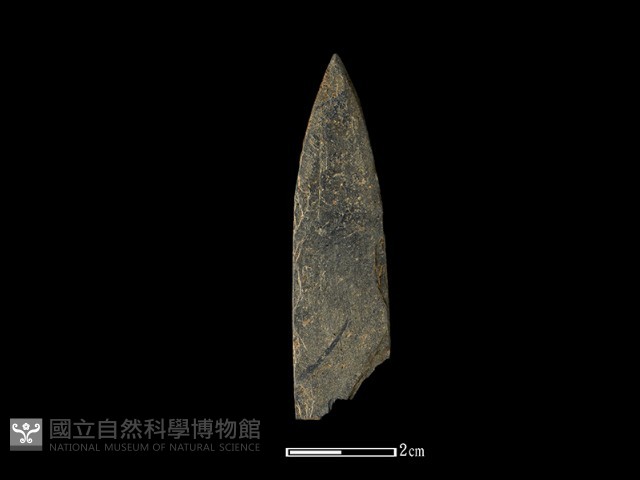 矛鏃形器藏品圖，第1張